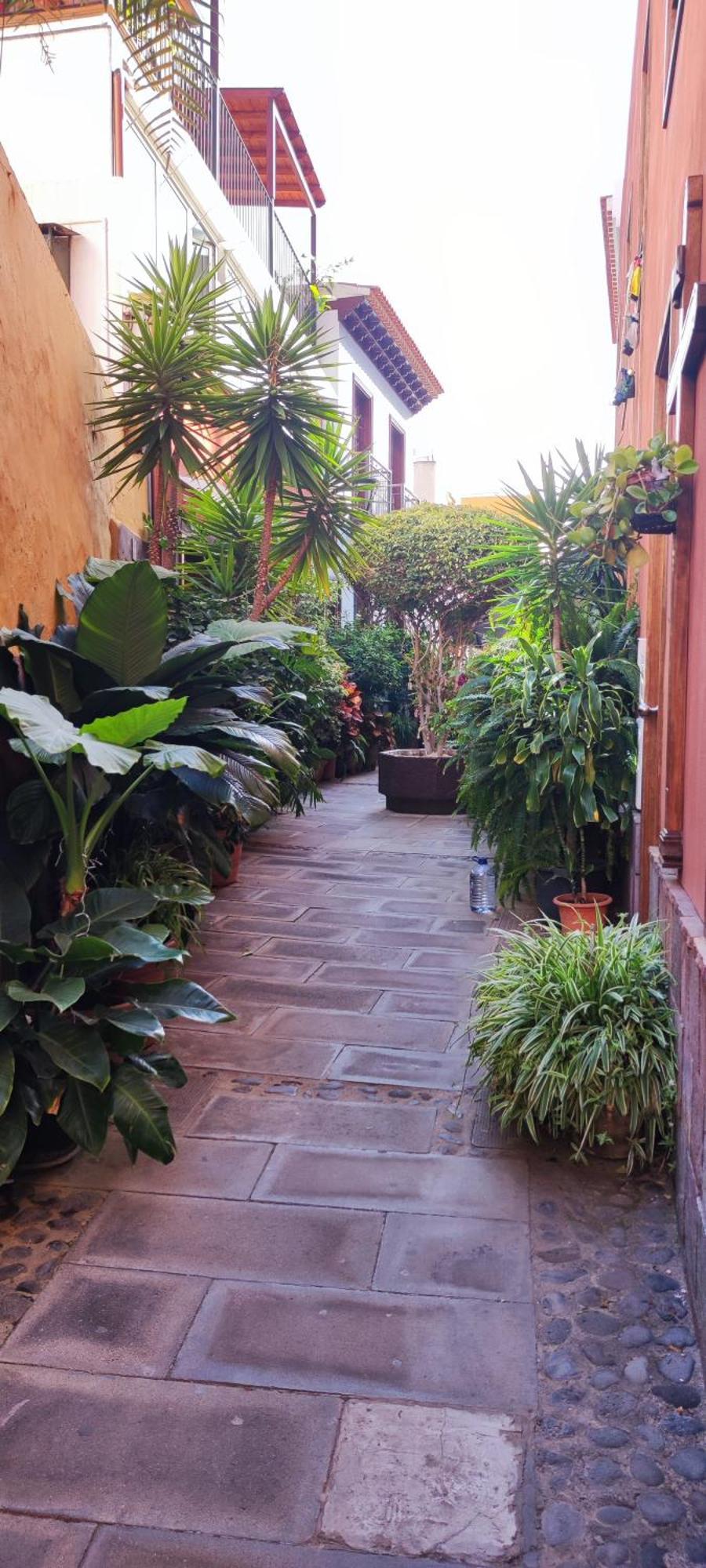 Teideplaya Apartment Puerto de la Cruz  Exterior photo